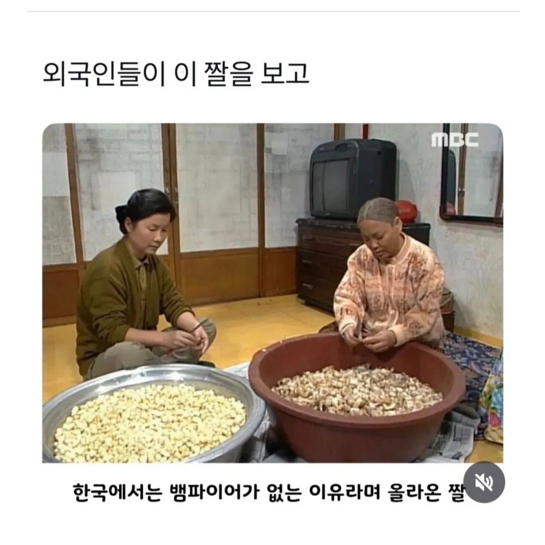 한국이 뱀파이어가 없는 이유