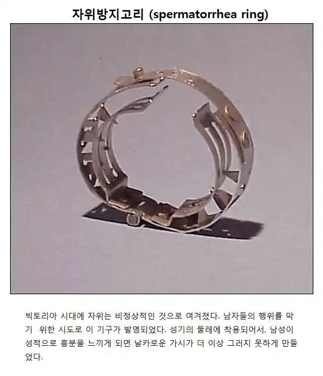 과도한 자위가 고민이신분