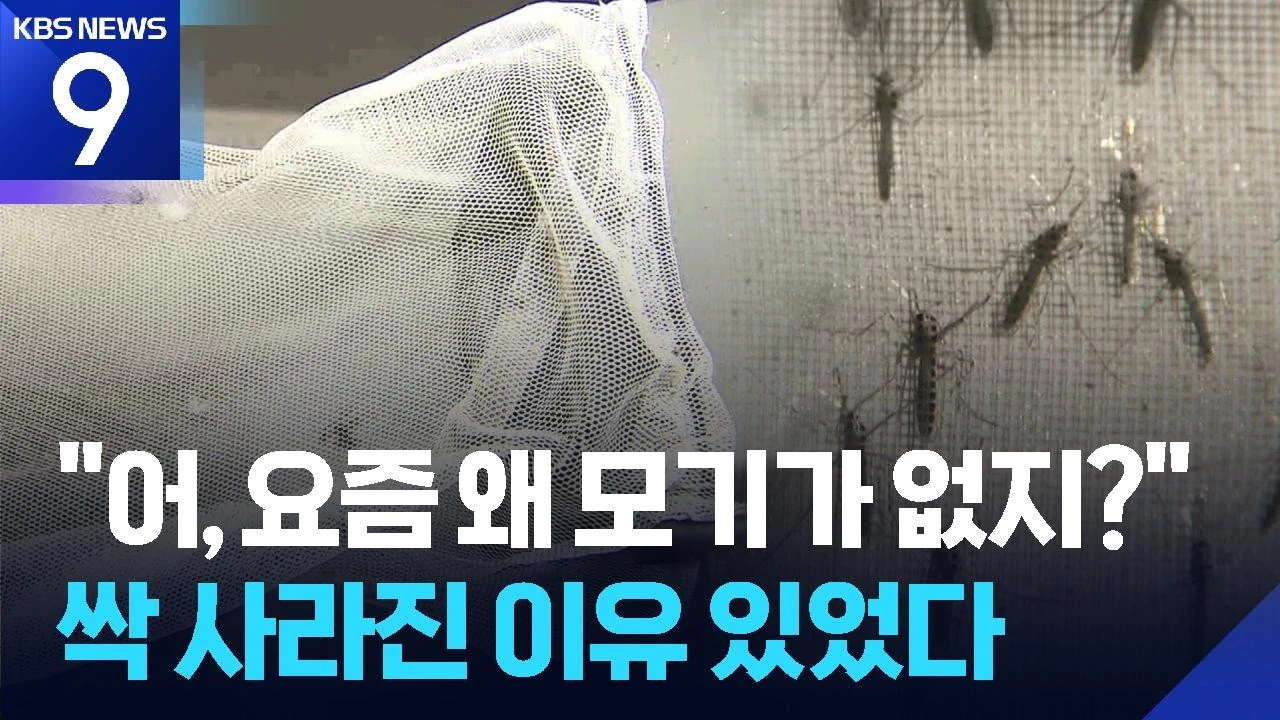 폭염에 모기도 지쳤다…“개체수 급감”