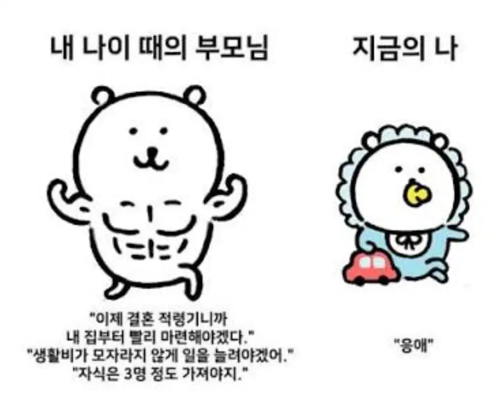전 세계에서 보이는 특징