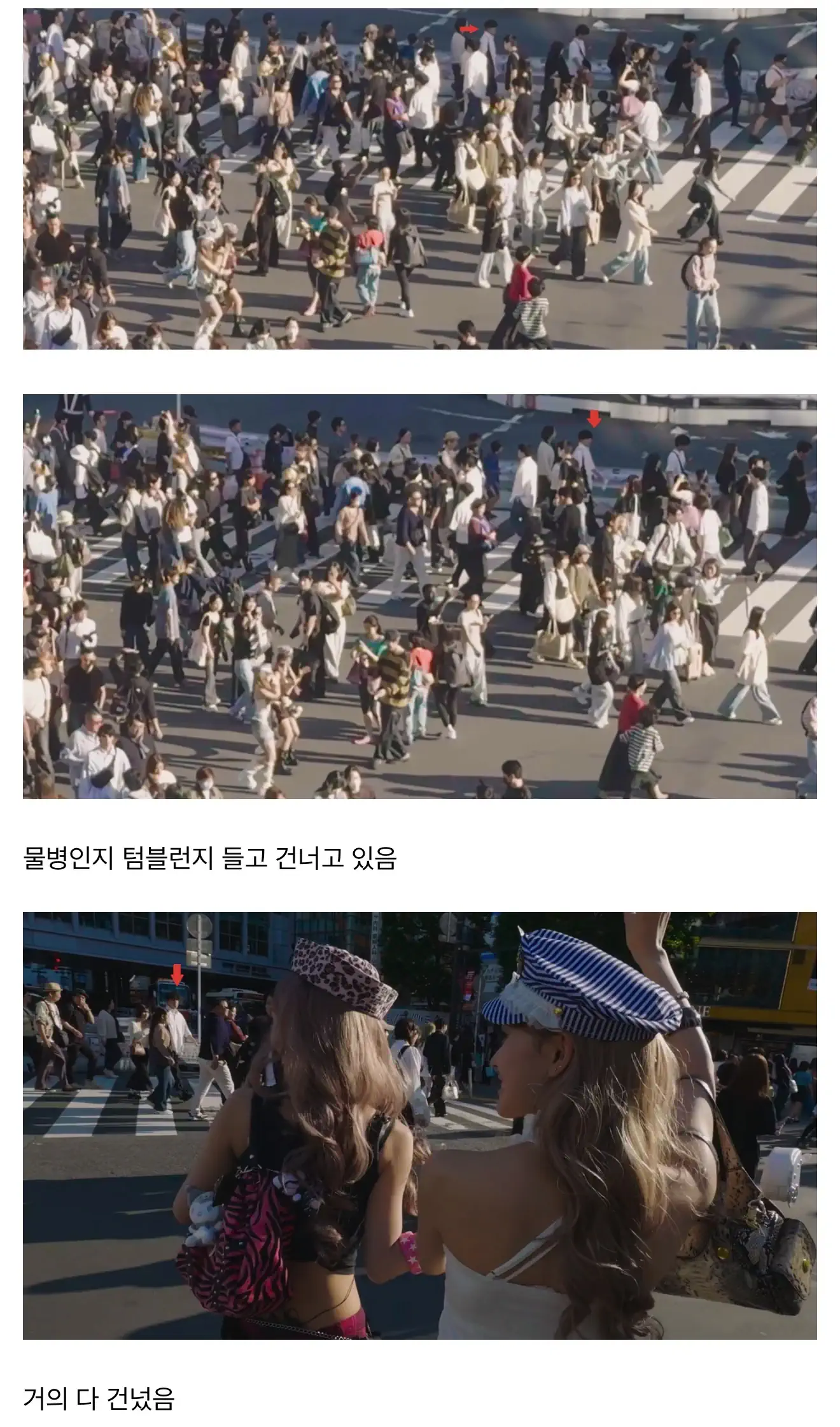 리센느 미나미 고의로 어깨빵한 일본인