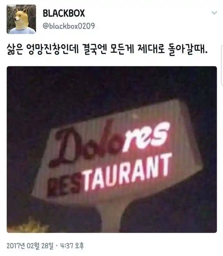 삶은 엉망진창인데 결국 모든게 제대로 돌아갈때