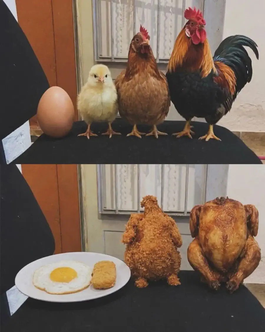 잔인한 가족사진
