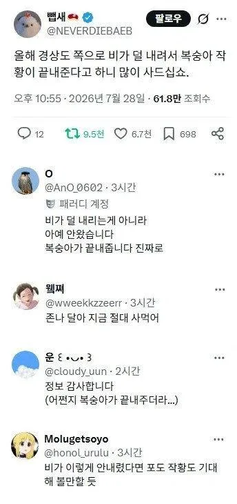 올여름 경상도 복숭아를 먹어야 하는 이유