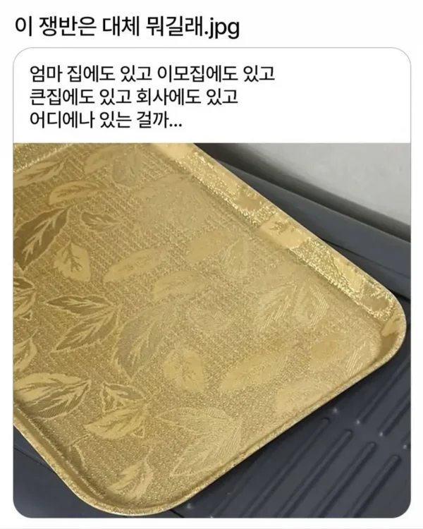 한때 집집마다 있었다는 것