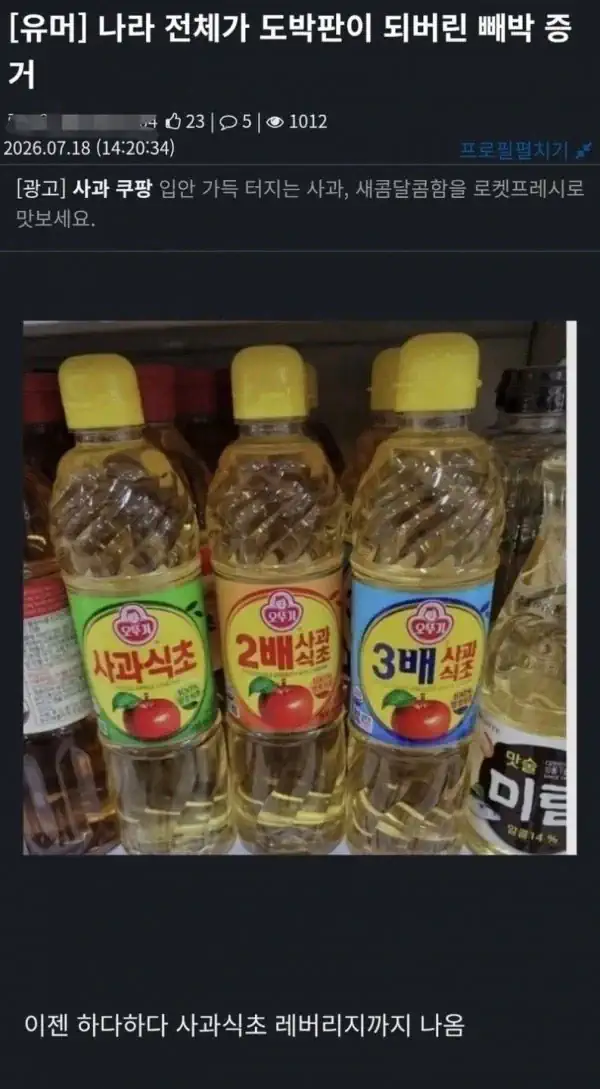 대한민국이 도박판이 되었다는 증거