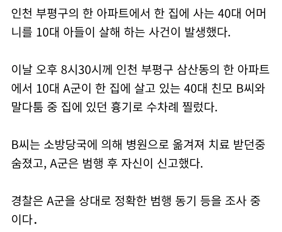 인천 부평구 아파트서 10대가 40대 친모 살해