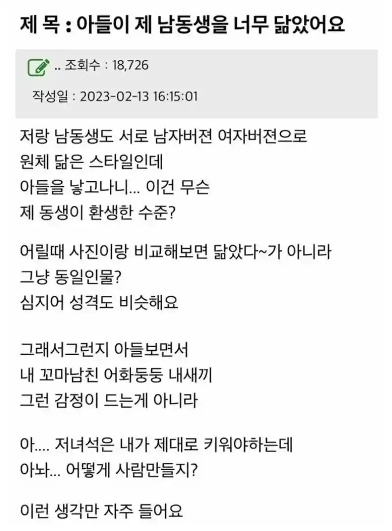 아들이 제 남동생을 너무 닮았어요.