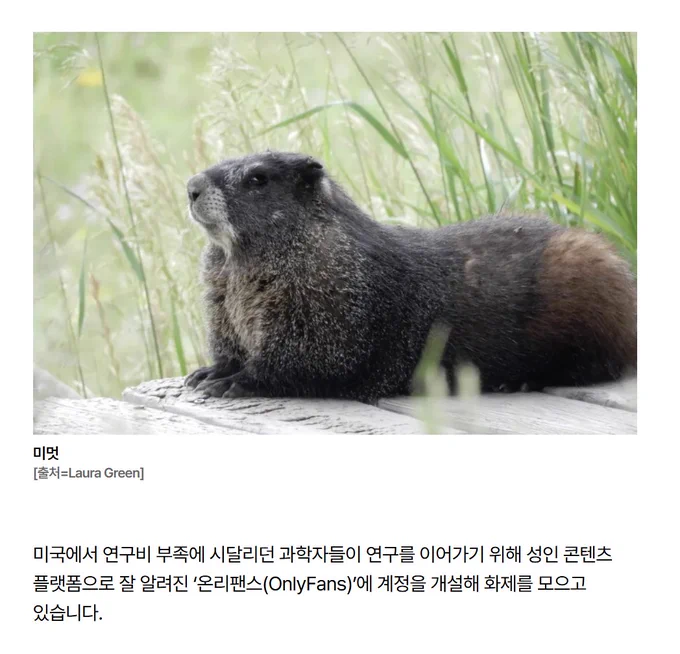 온리팬스로 학계를 일으킨 과학자들.twt