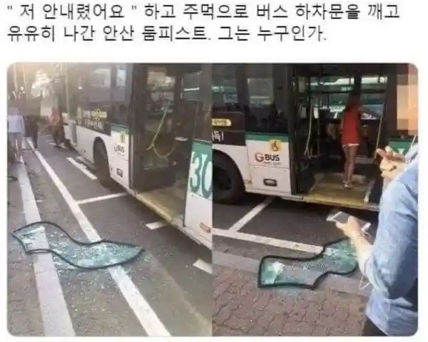 안산 둠피스트