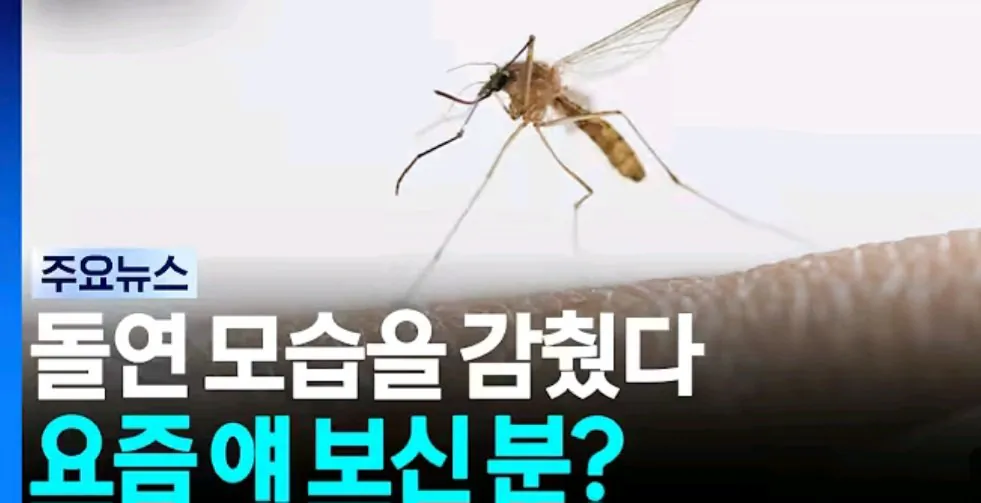 요즘 안보이는것.JPG