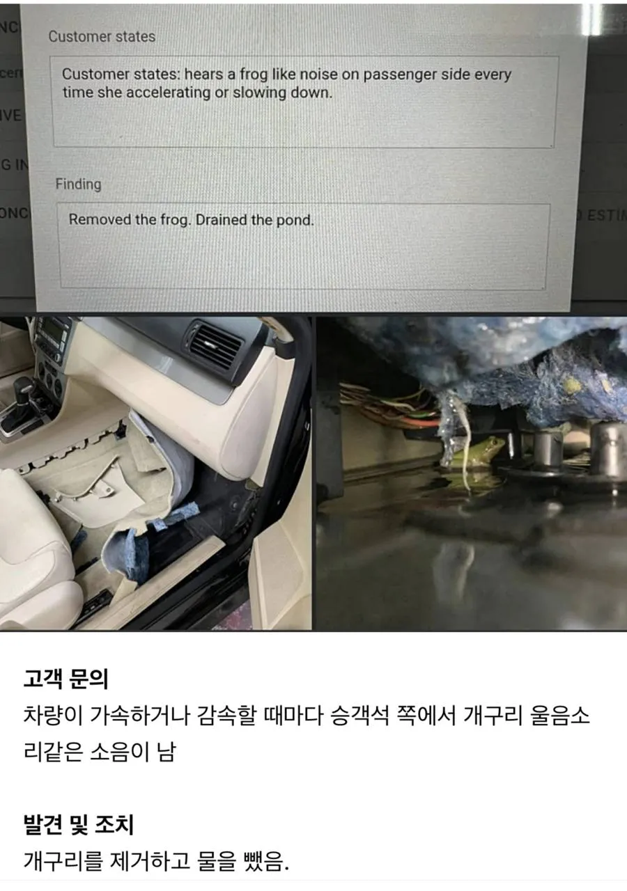 자동차에서 개구리 소리가 나요