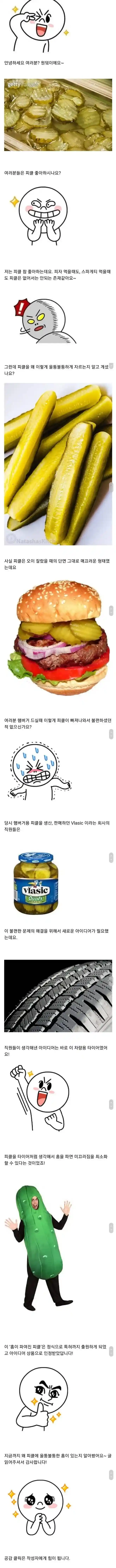 피클이 울퉁불퉁한 이유..jpg