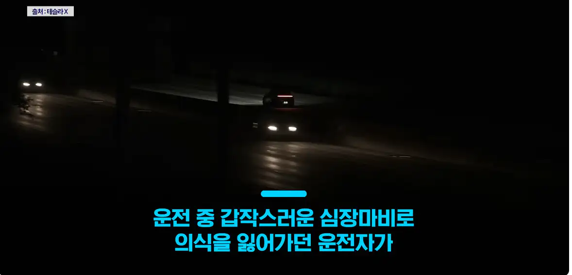 의식 잃은 운전자 살린 테슬라