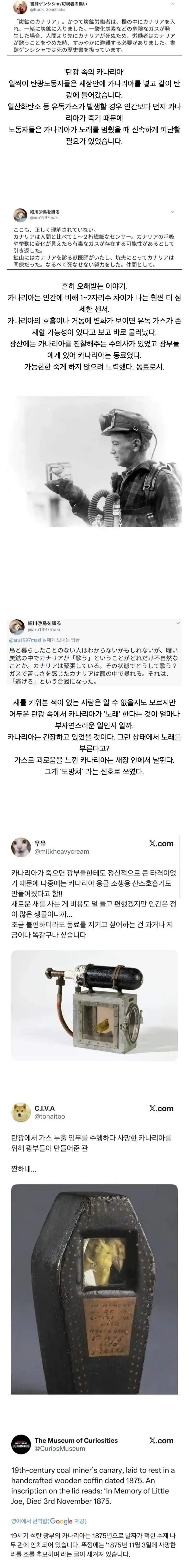 탄광의 카나리아 이야기.jpg