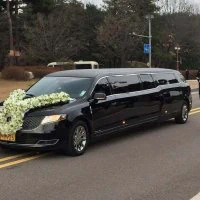 미국주식 떨어지고 캐딜락타고 다닌다는 사람