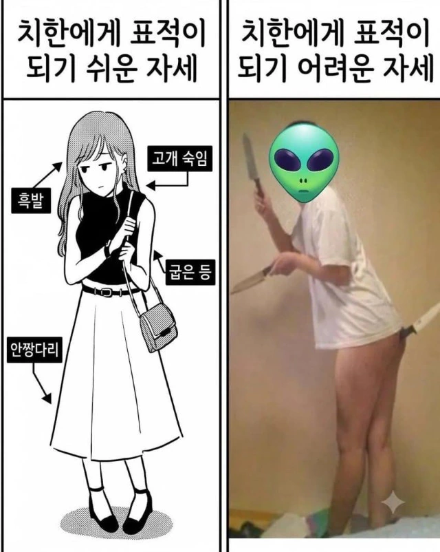일본에서 치한 당할 수 있다는 여성 자세