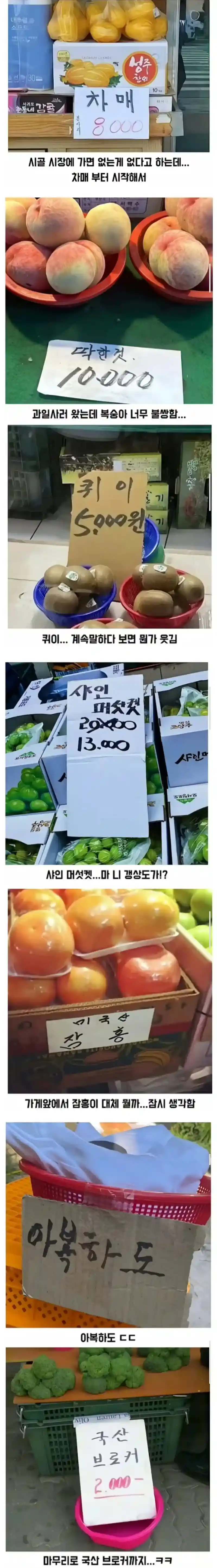 없는게 없다는 시골 시장 모습