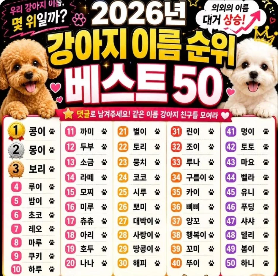강아지 이름 순위 🐶