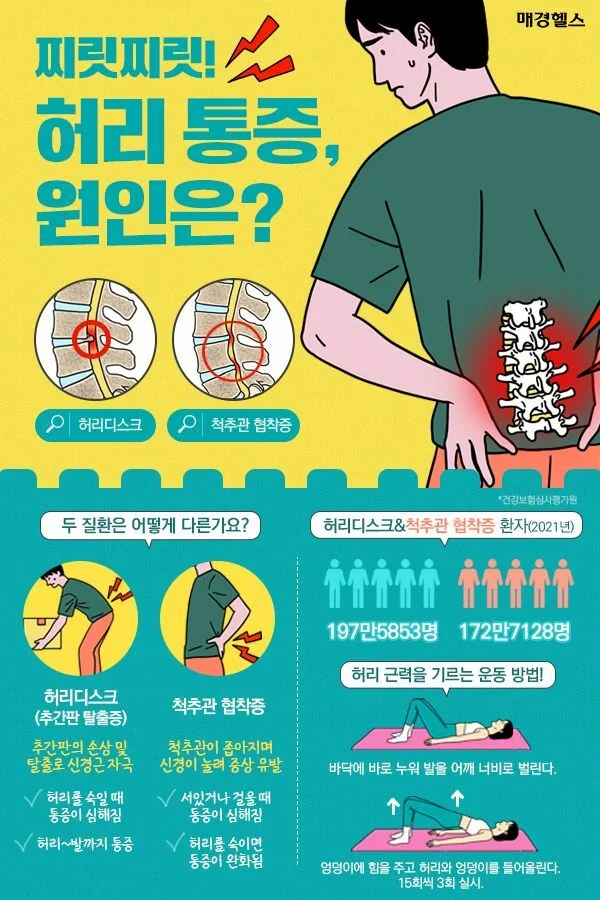허리통증 완화 운동
