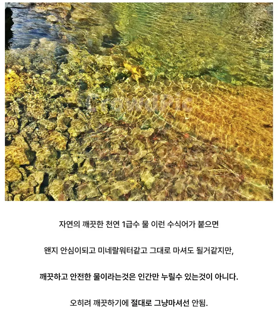 사람들이 깨끗한 물을 보고 하는 착각.jpg