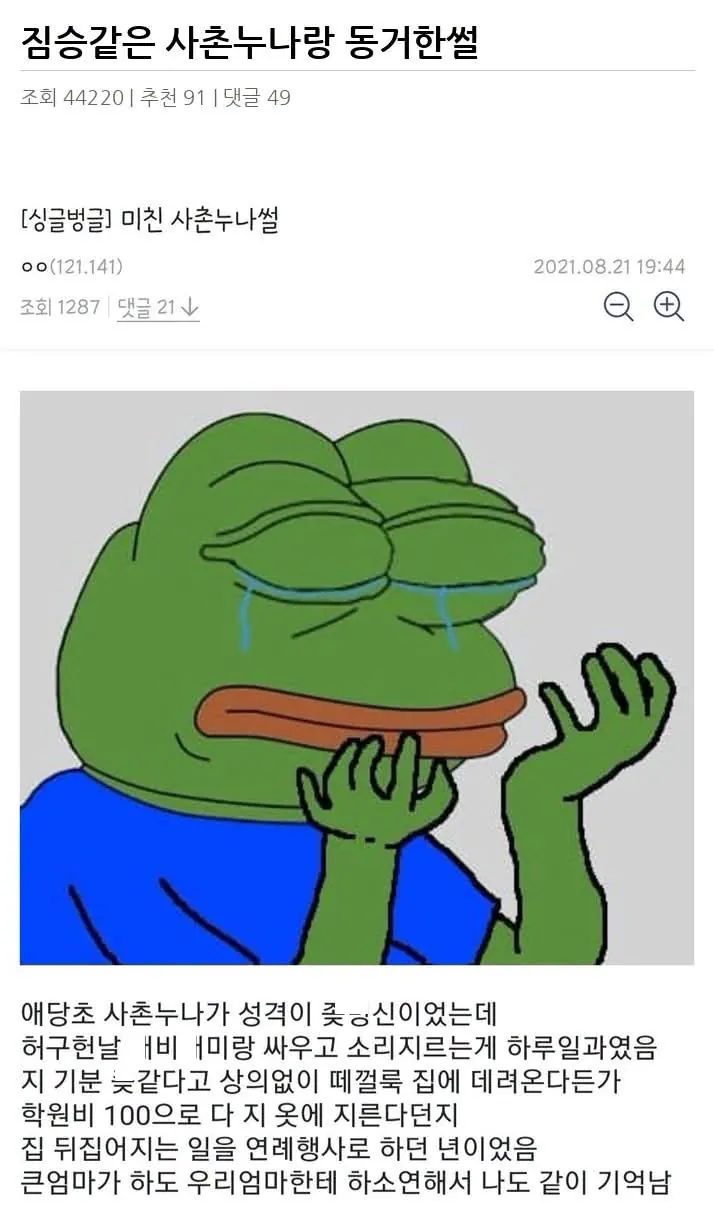짐승같은 사촌누나랑 동거한썰