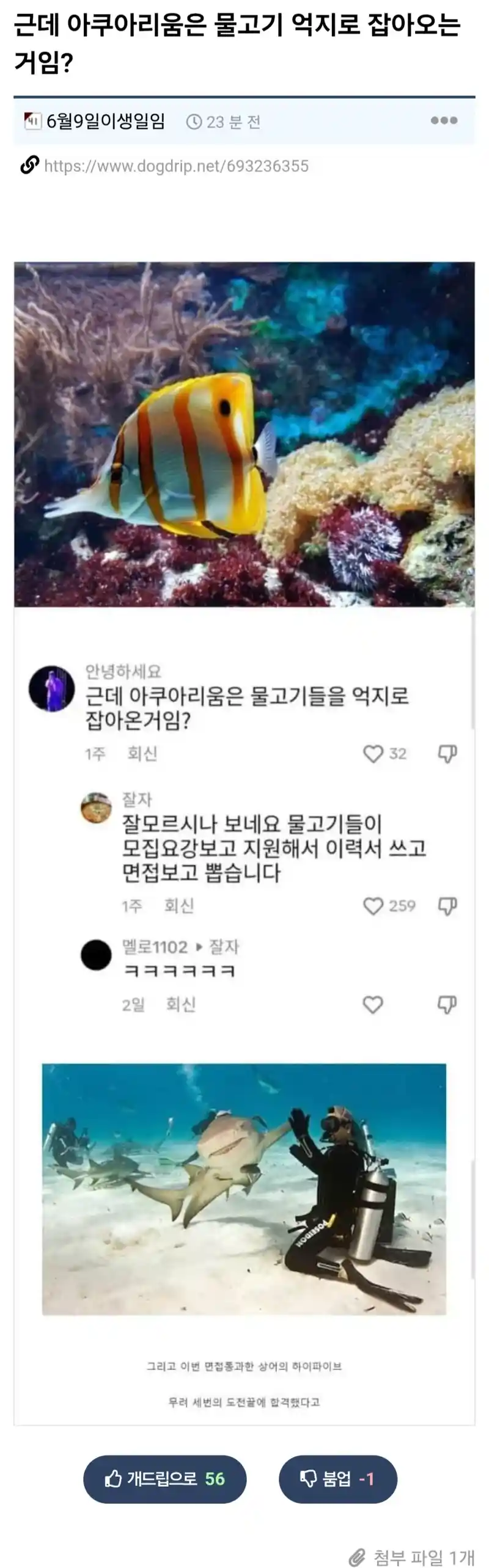 아쿠아리움은 물고기 억지로 잡아옴?
