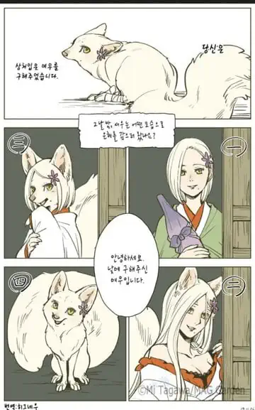 은혜 갚는 여우, 어떤 형태가 취향?