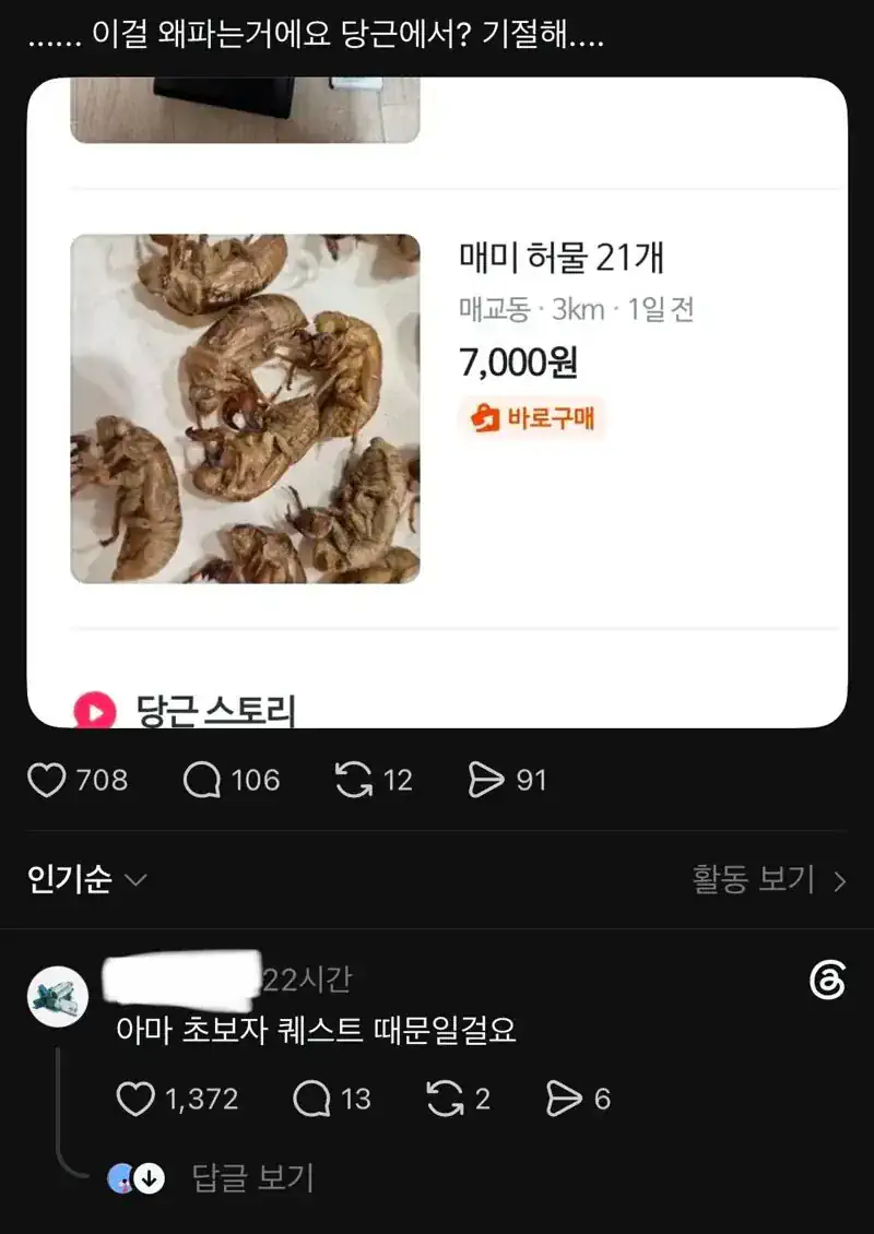 심각하다는 당근 매미허물.jpg