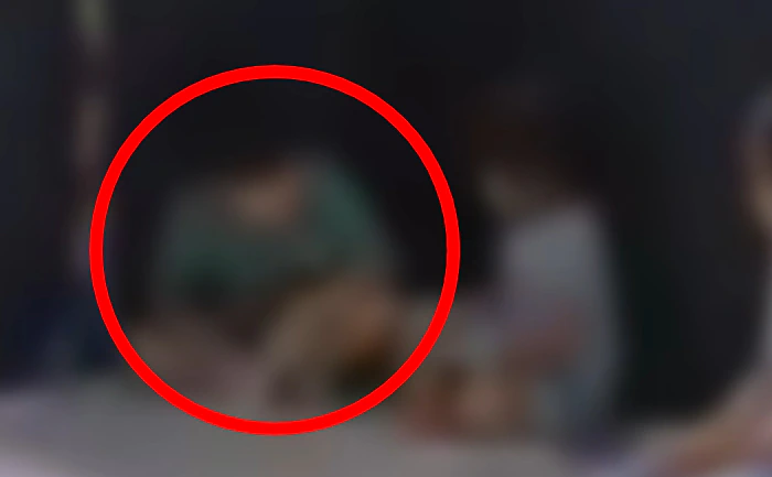 6살·5살 딸 치마 들추고 만진 7살 남아…가해 부모 "아이들이 허락해"