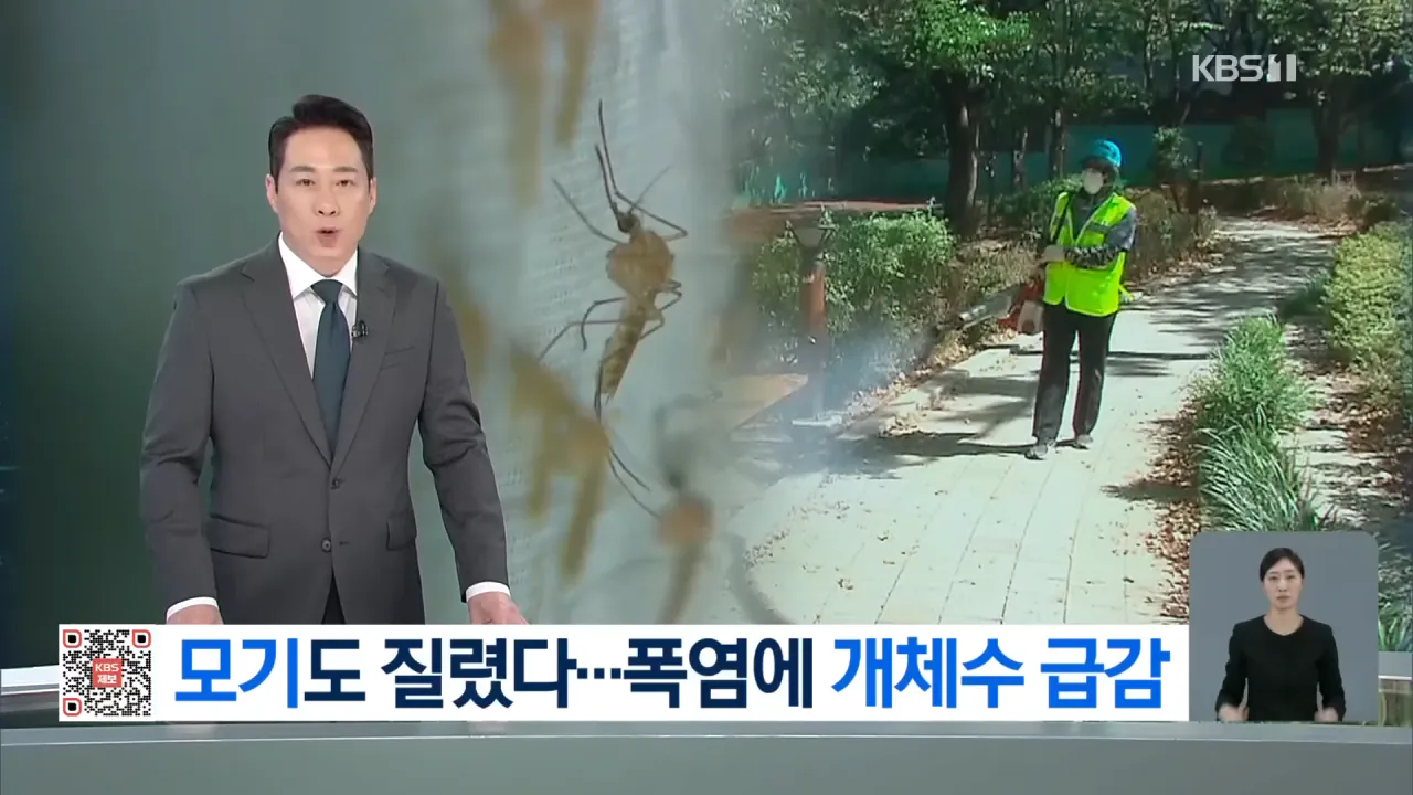 올해 모기 고문영상이 적었던 이유 밝혀짐 ㄷㄷㄷ