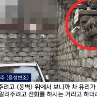 대한민국에서 있었던 역대급 캣맘 사건