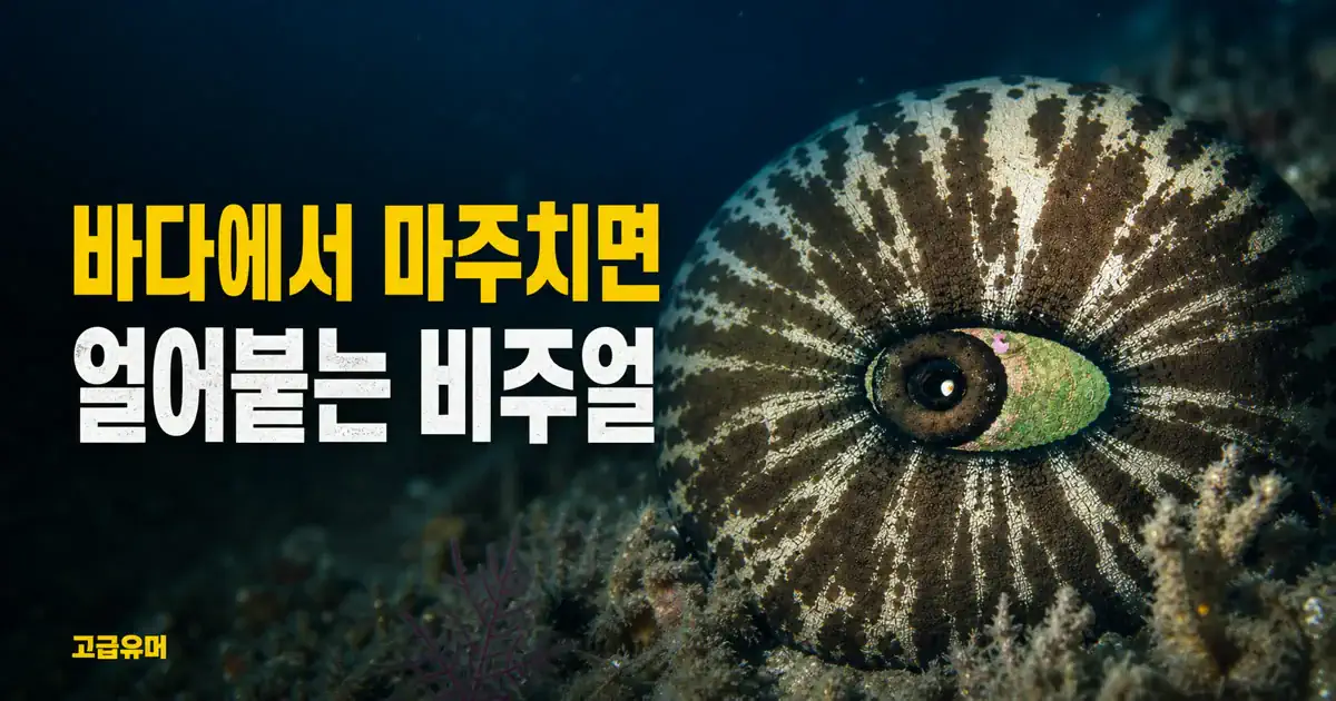 바다속에서 만나면 100프로 기절할 자신있는 생물.jpg
