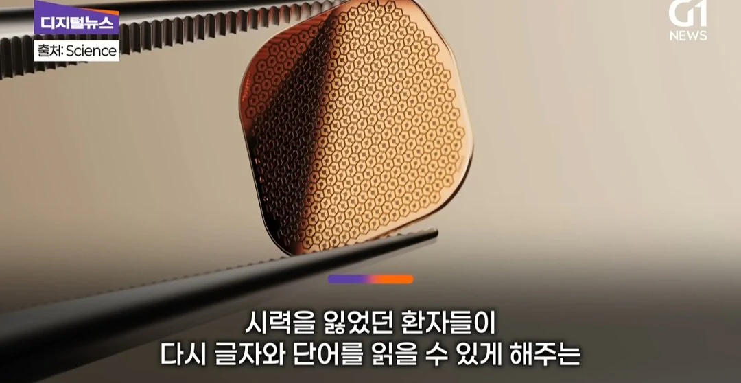 드디어 정복했다는 시각장애 근황