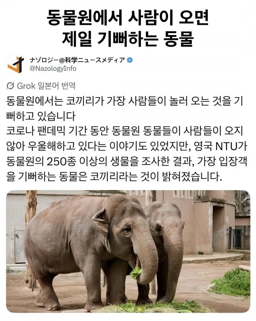 사람이 오면 좋아한다는 동물원 동물