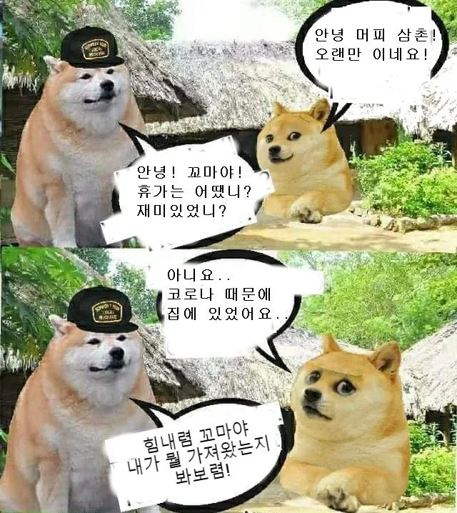 삼촌 입장에서 조카란