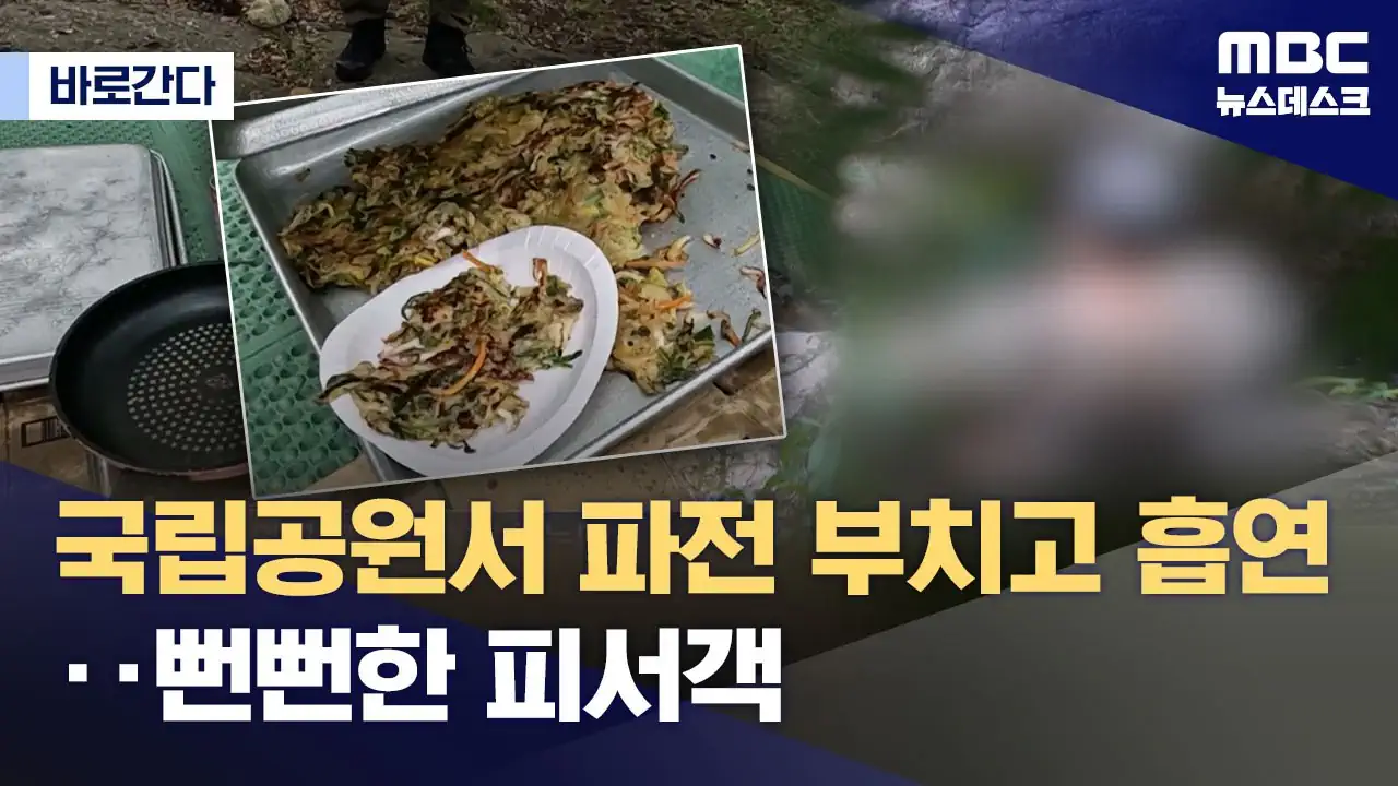 취사·흡연·야영 금지 국립공원‥"몰랐어요, 봐주세요" 올여름도 여전