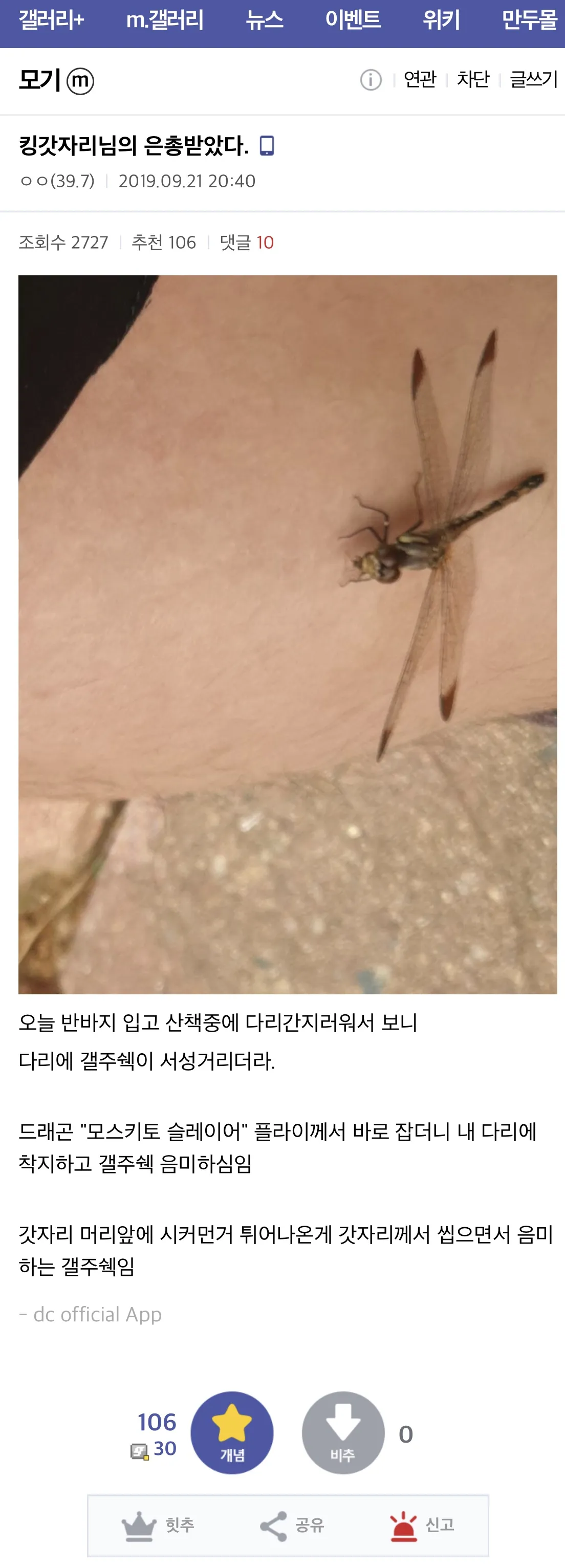 모기 갤러리 회원이 감동을 금치 못했던 이유