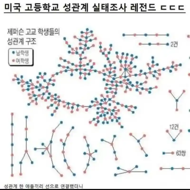 미국 고등학교 성관계 실태조사.jpg