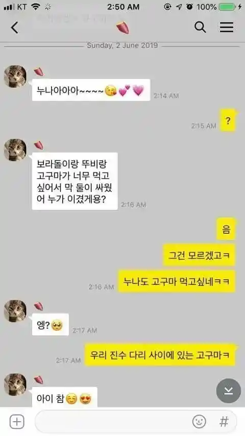 세로드립 이해 못한 누나