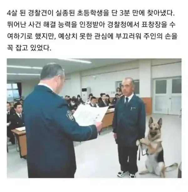 일 잘해서 상 받는 댕댕이