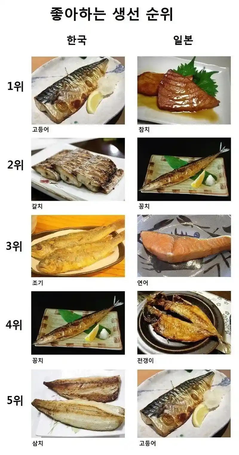 일본과 한국의 선호 생선 순위