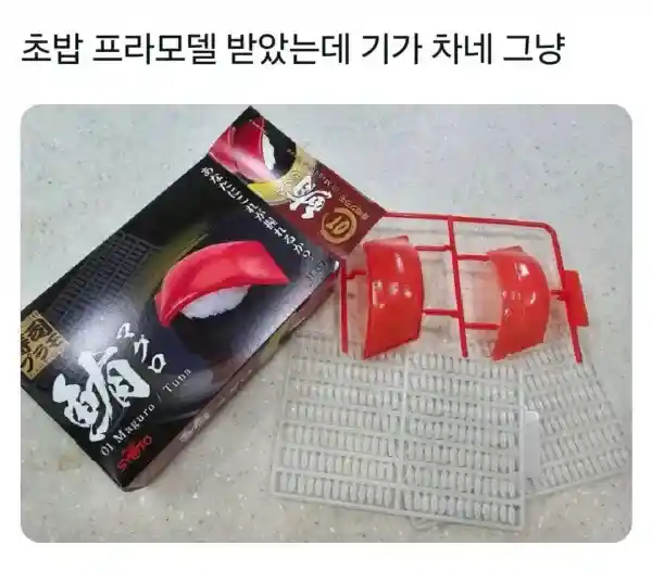 조립하기 쉽지 않을 듯한 초밥 프라모델.jpg