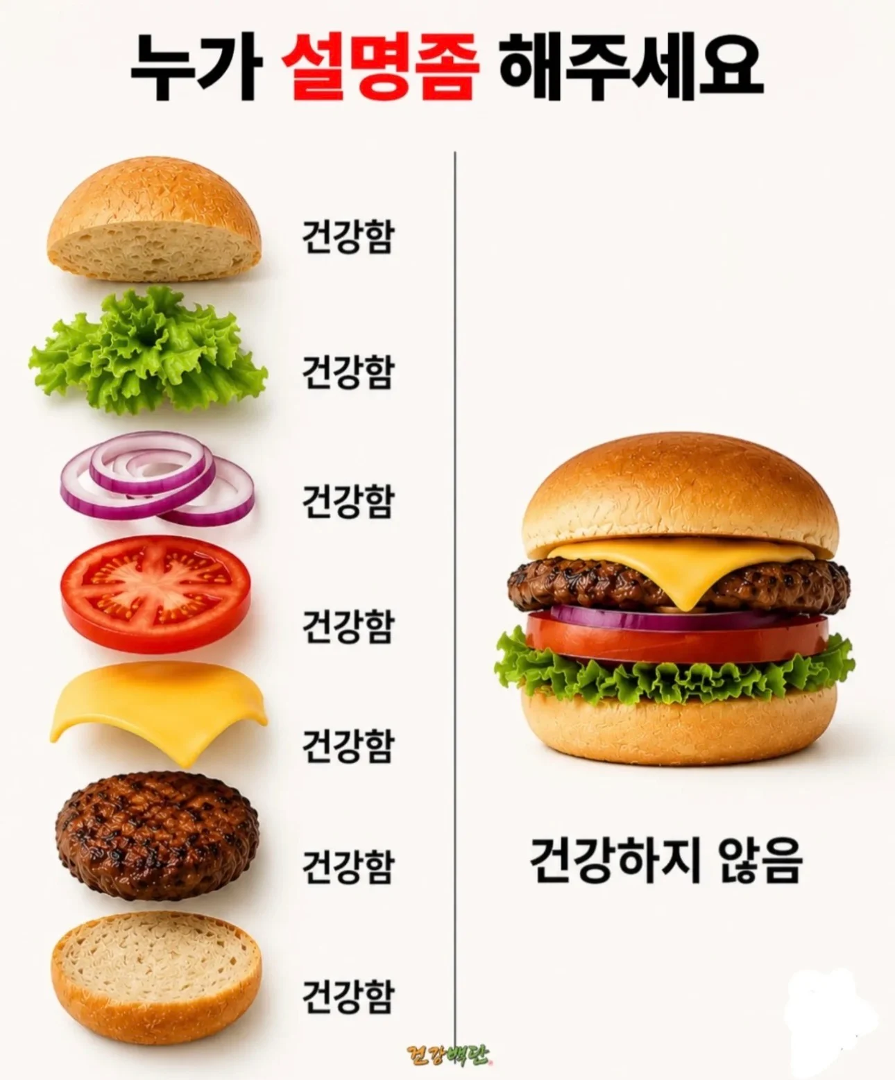 건강한 식재료가 모여서 만들어진 햄버거 특징