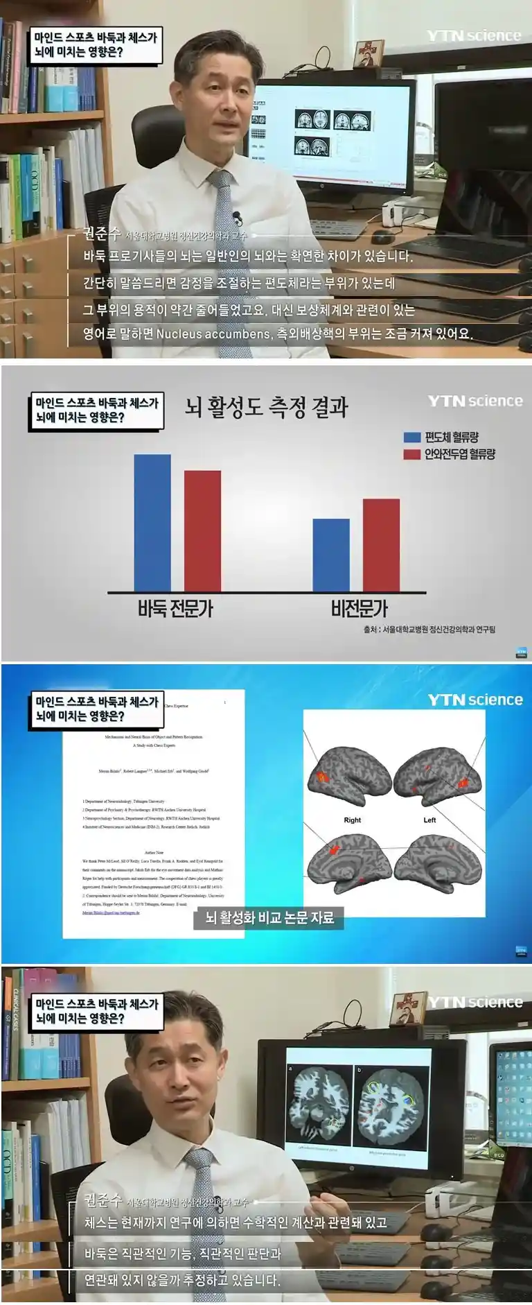 바둑과 체스가 뇌에 미치는 영향