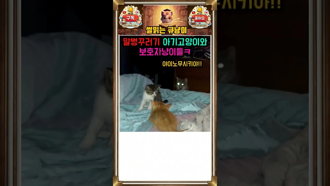 동생 괴롭히다 눈에서 레이저 쏘는 엄마한테 딱 걸린 고양이 ㅋㅋ