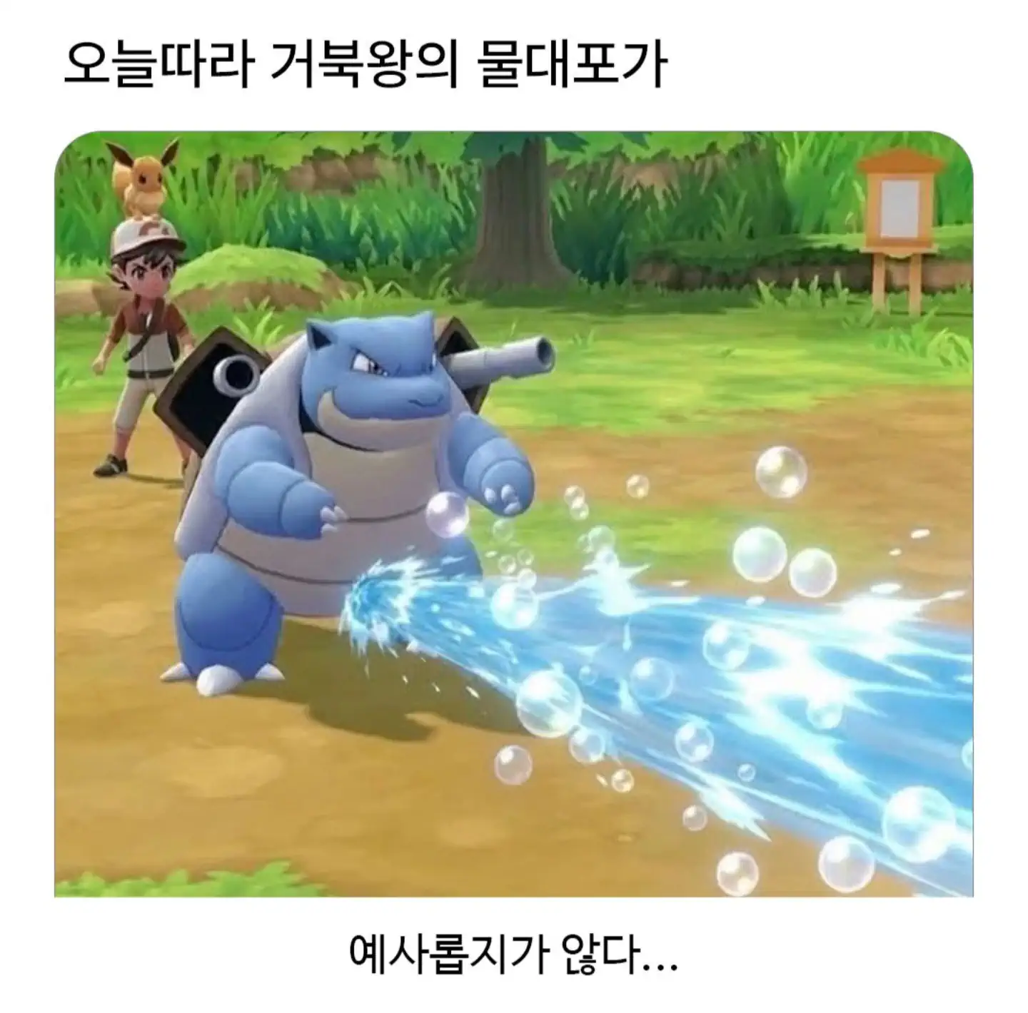 오늘따라 거북왕의 물대포가 예사롭지 않다