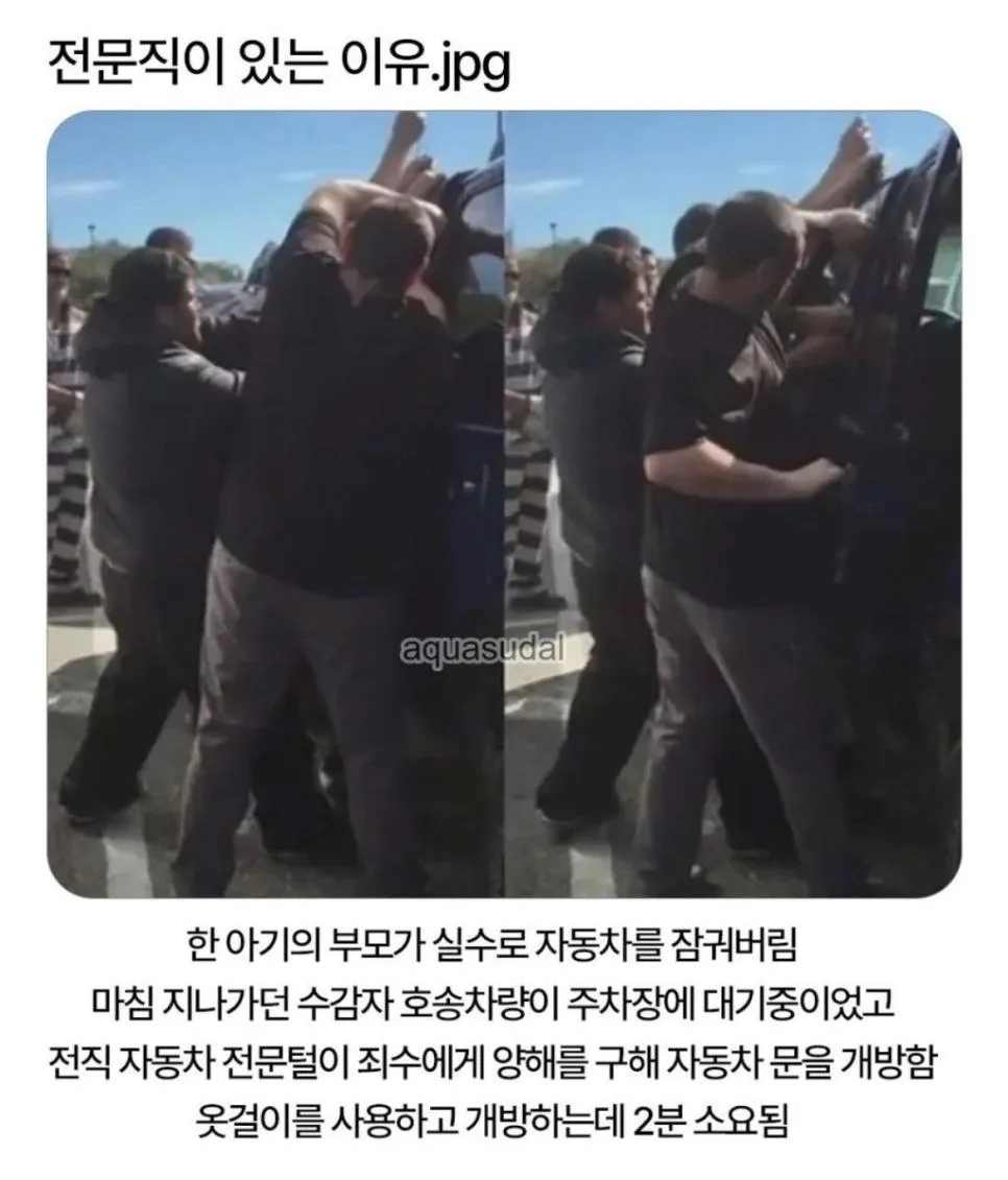 전문직이 있는 이유