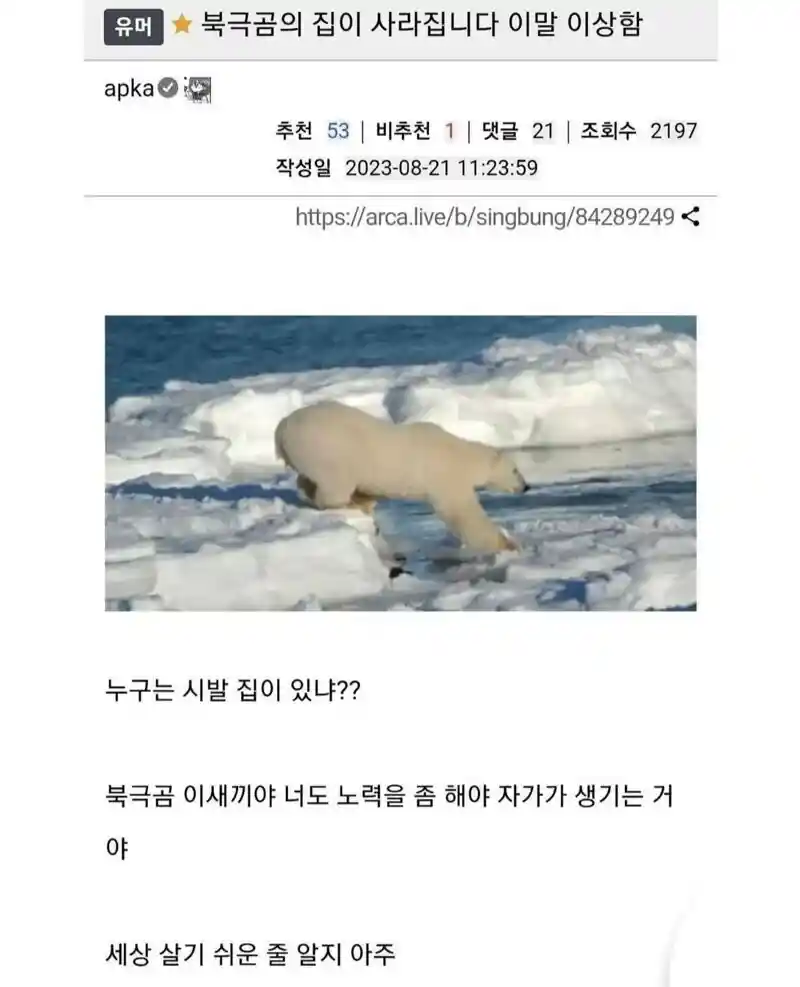 북극곰의 집이 사라집니다 좀 이상한 말 같지 않아?.jpg