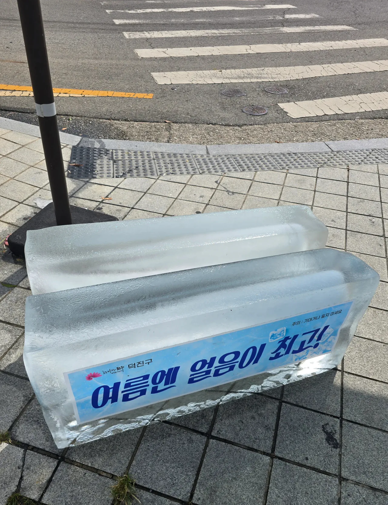 전주 무더위 대책 근황